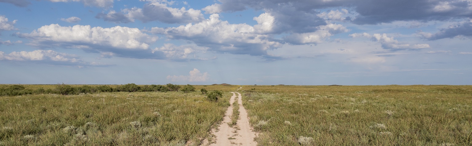 Lubbock Road